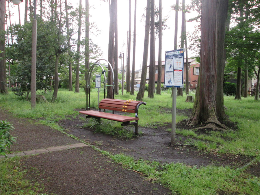 宇都宮記念公園（ひのきの散歩道）のサムネイル画像